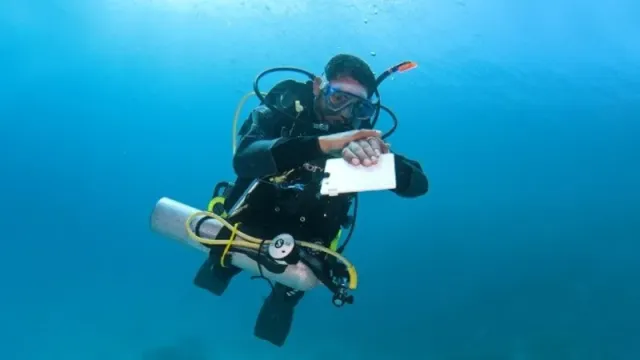 A diver ascending alone along a reef wall